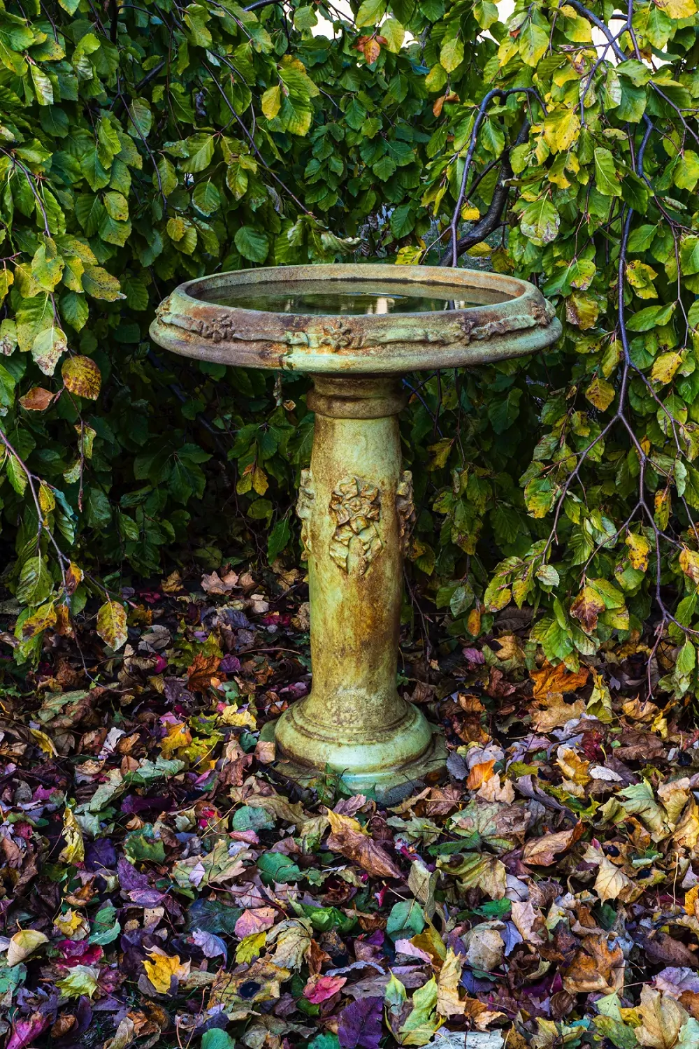 Ribbon Birdbath